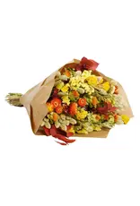 Droogbloemen Autumn colors