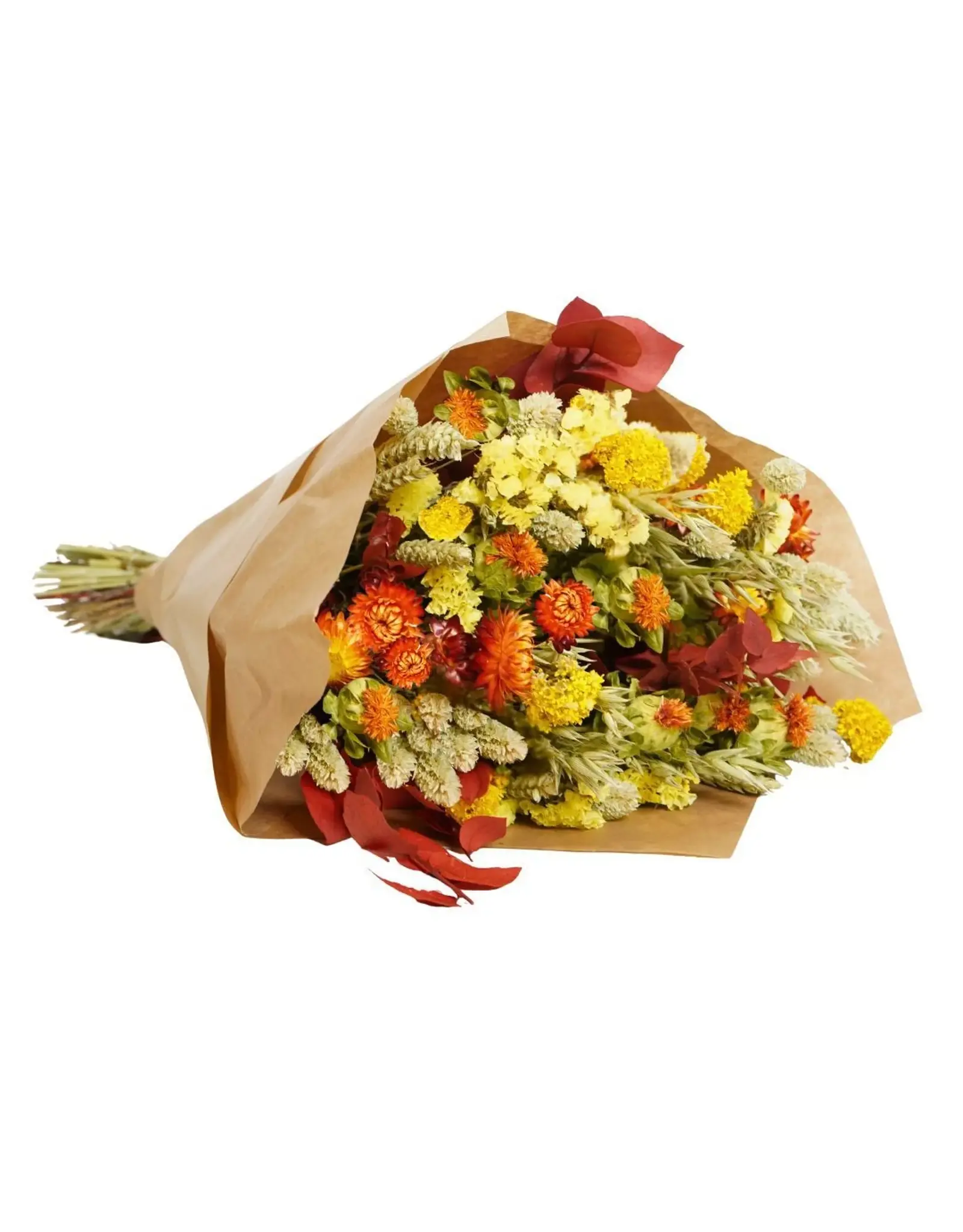 Droogbloemen Autumn colors