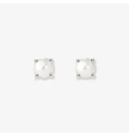 Studs dream pearl silver