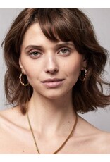 Oorringen strass multi