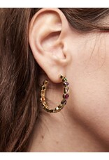 Oorringen strass multi