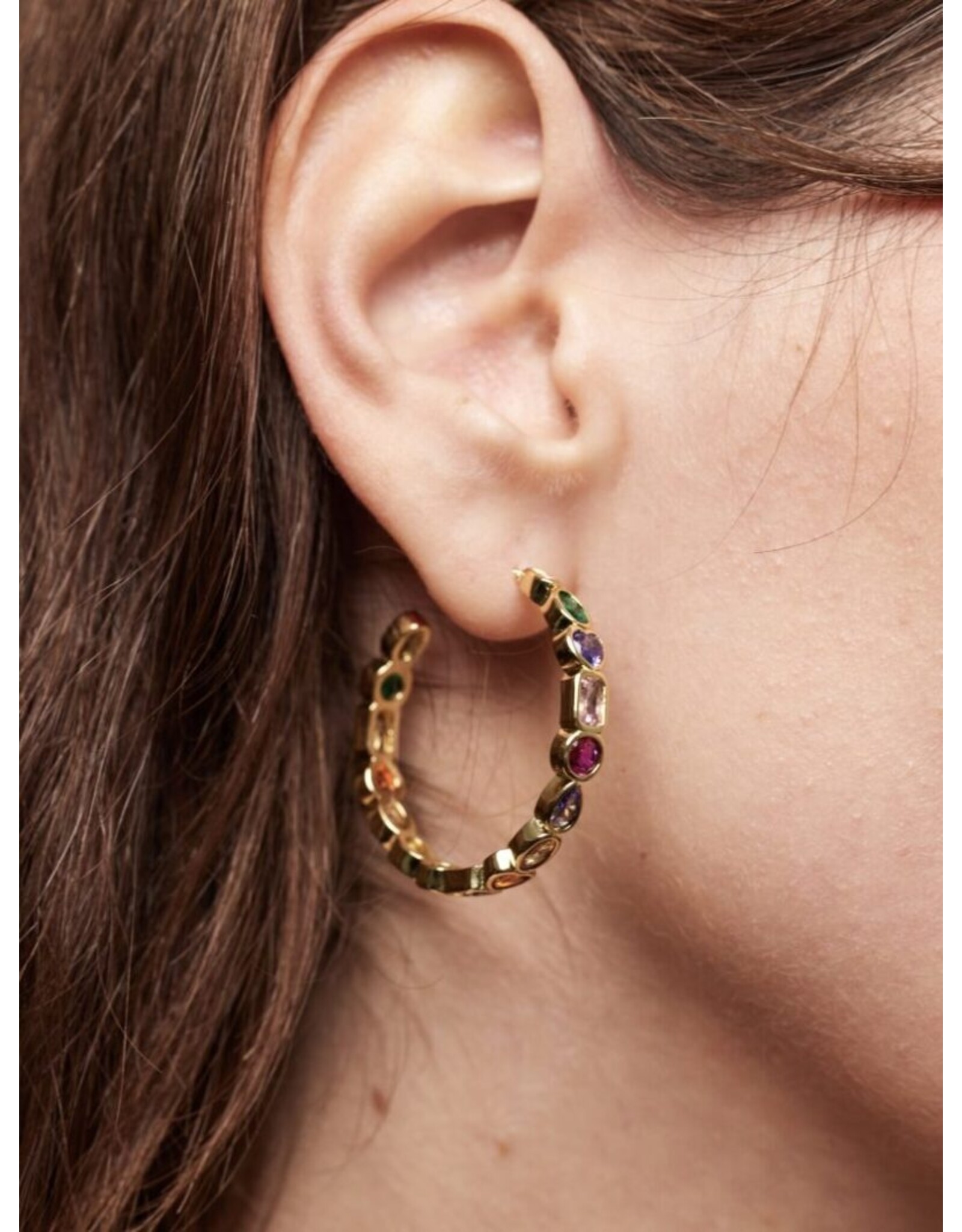 Oorringen strass multi