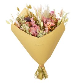 Droogbloemen Pink Elegance