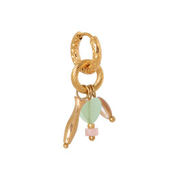 Oorringen little fish