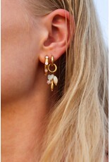 Oorringen little fish