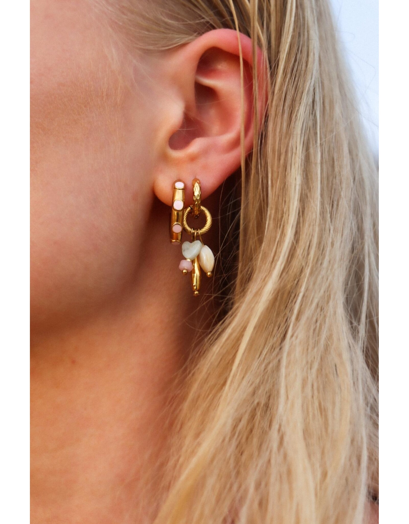 Oorringen little fish