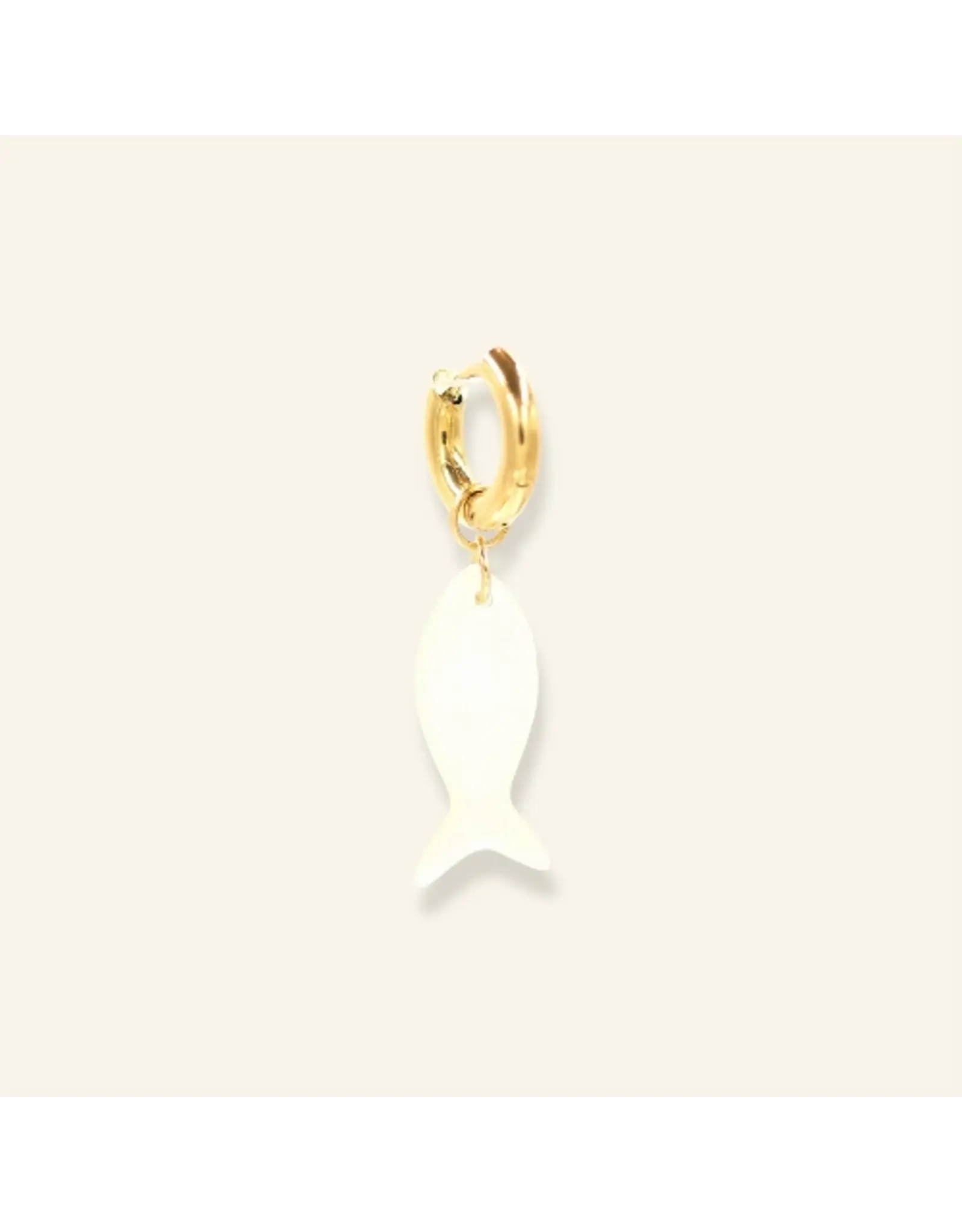 Oorringen shell fish