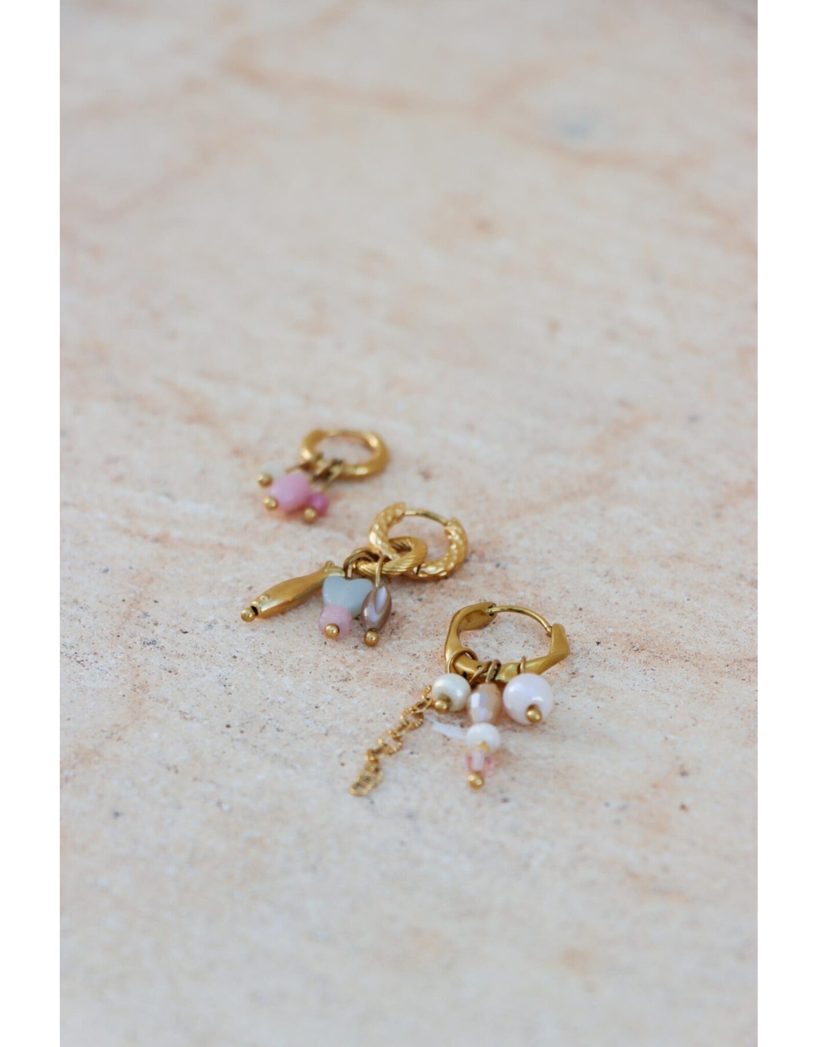 Oorringen little fish