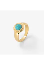 Ring maris