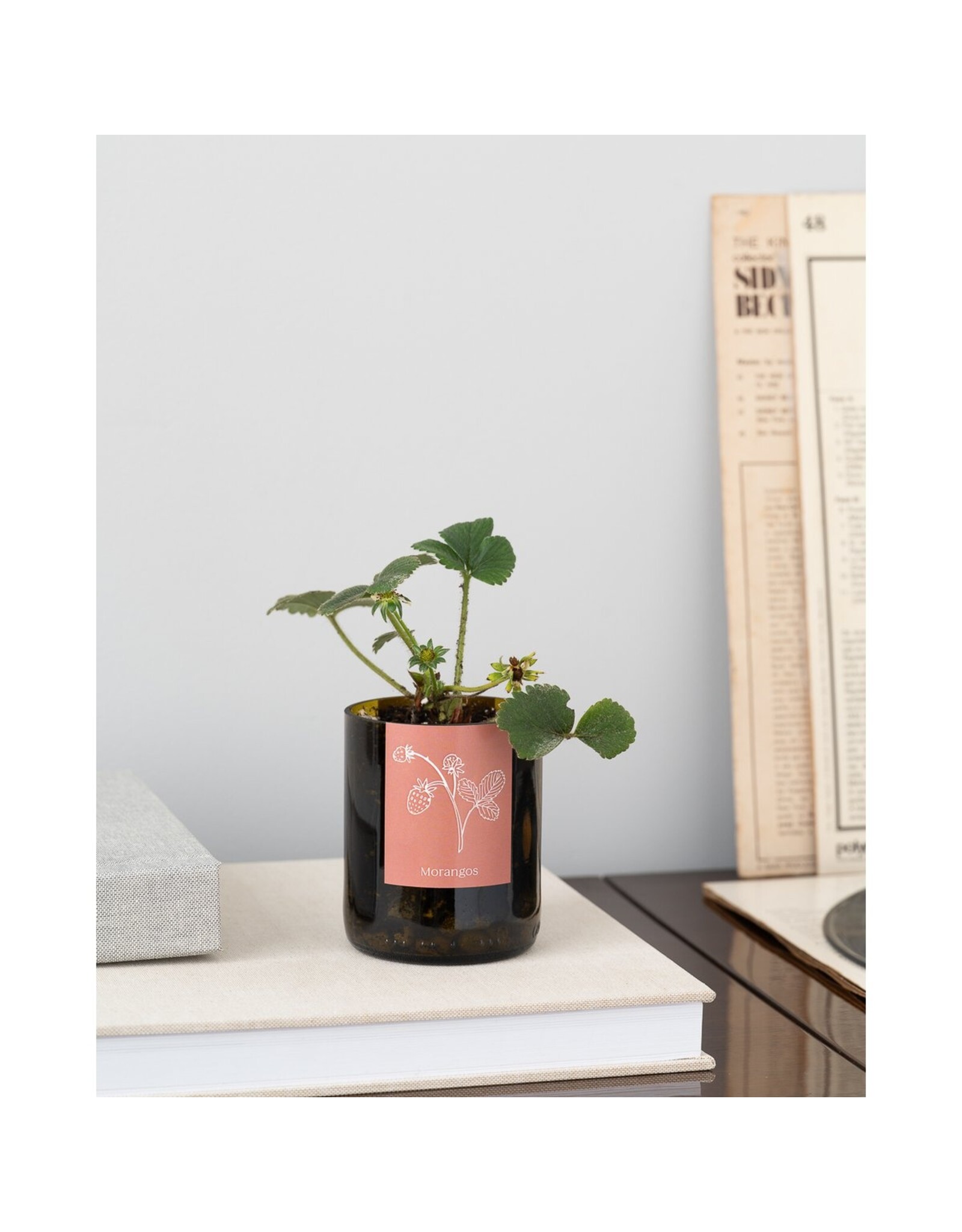 Life in a bottle - Aardbeien