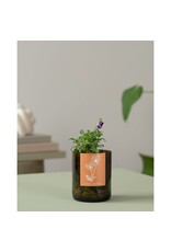 Life in a bottle - Viooltje