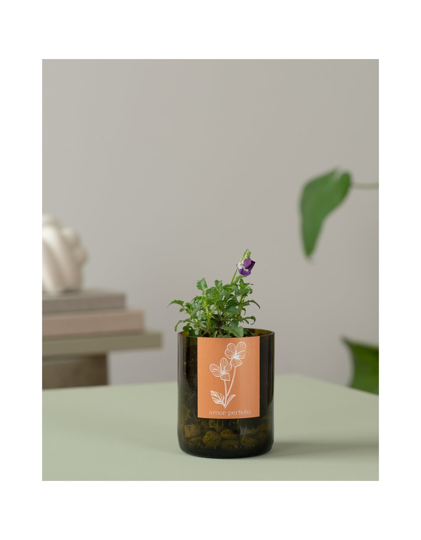 Life in a bottle - Viooltje