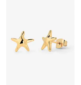 Studs zeester