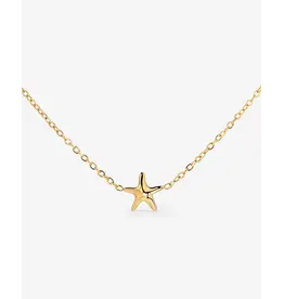 Ketting zeester