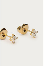 Studs klaver