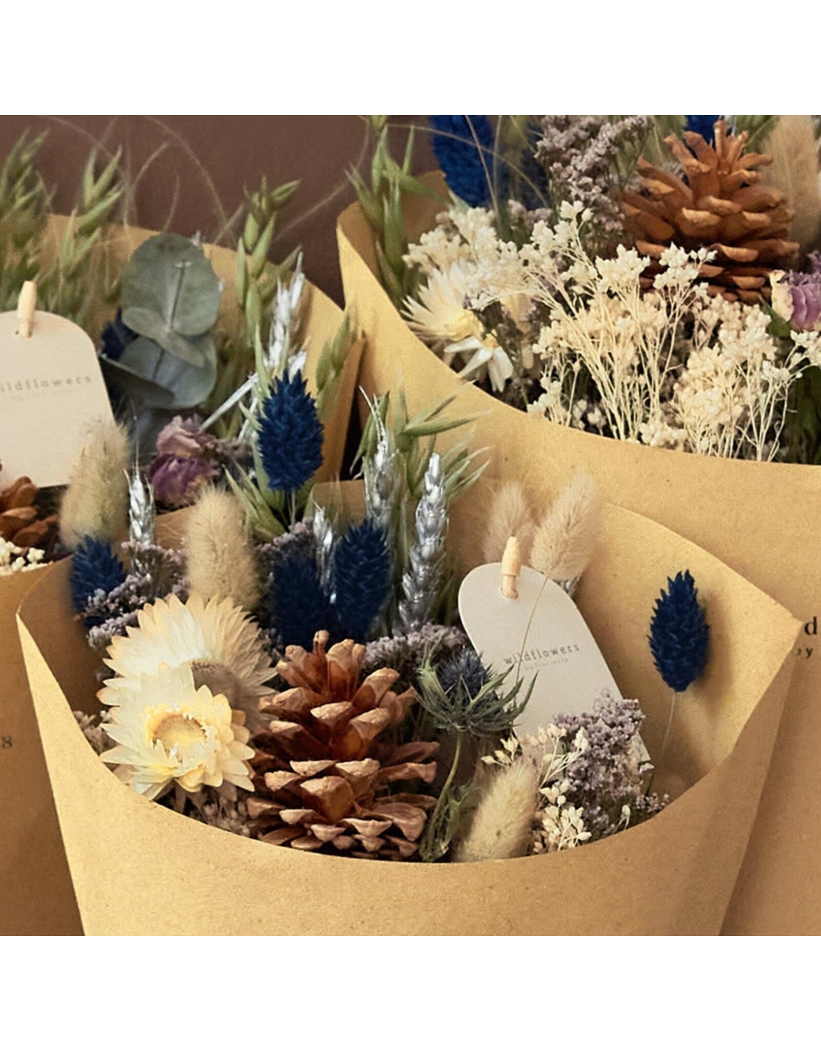 Droogbloemen Small Frosted
