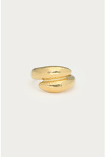 Ring bubble