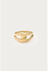 Ring lus hammered