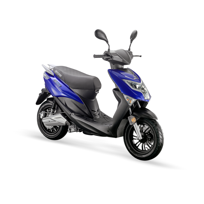 Nipponia Nipponia E-Rex