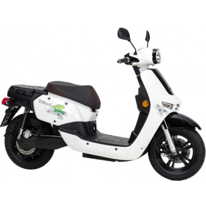 Nipponia Nipponia F7