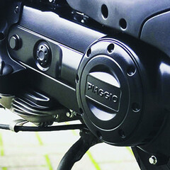 config-Carterkap zwart