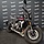 TRIUMPH TRIDENT 660