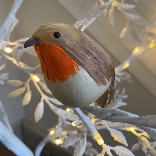 Level 1 Accessories Fat Little Robin