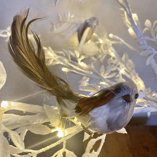 Level 1 Accessories Mini Feather Bird