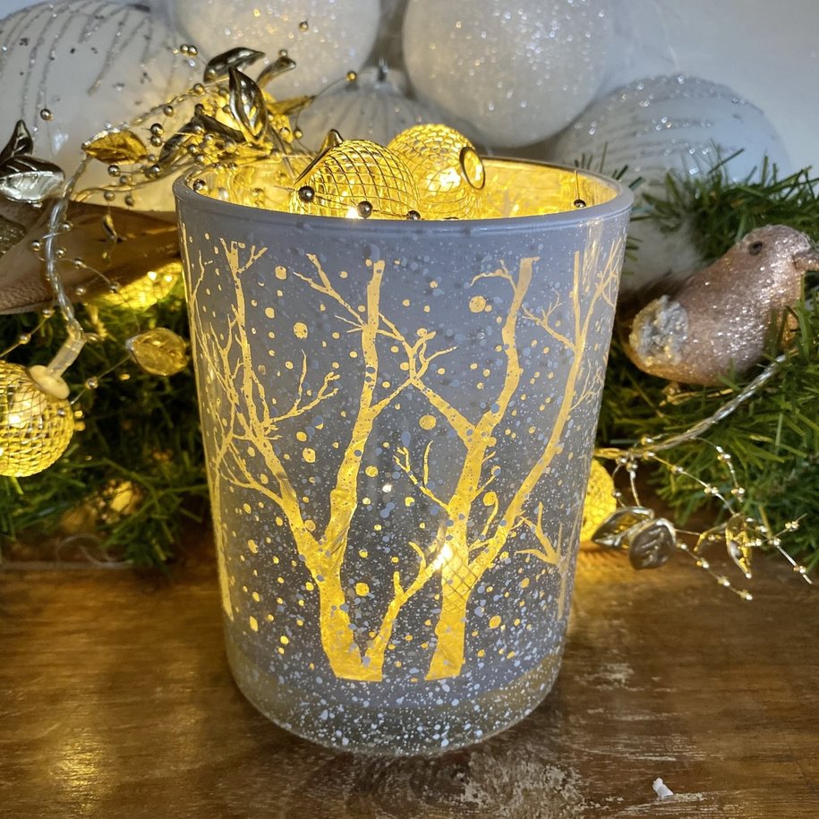 Snowy Forest Hurricane