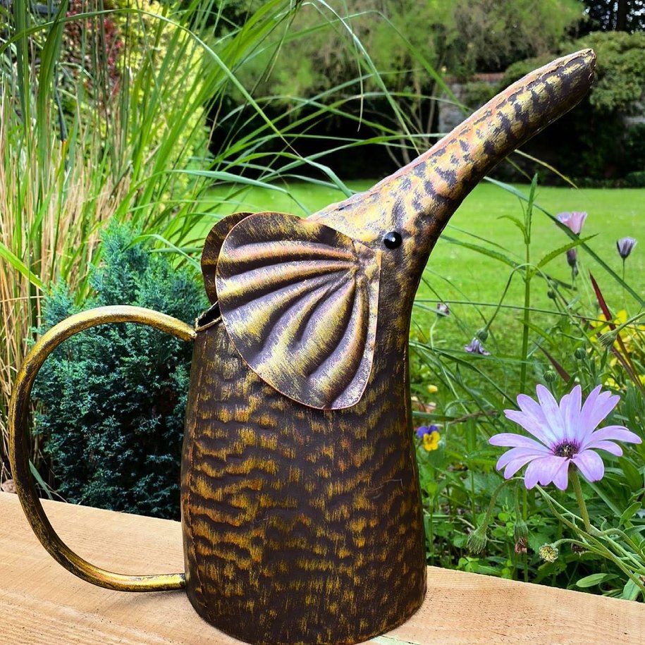 Elephant Watering Can