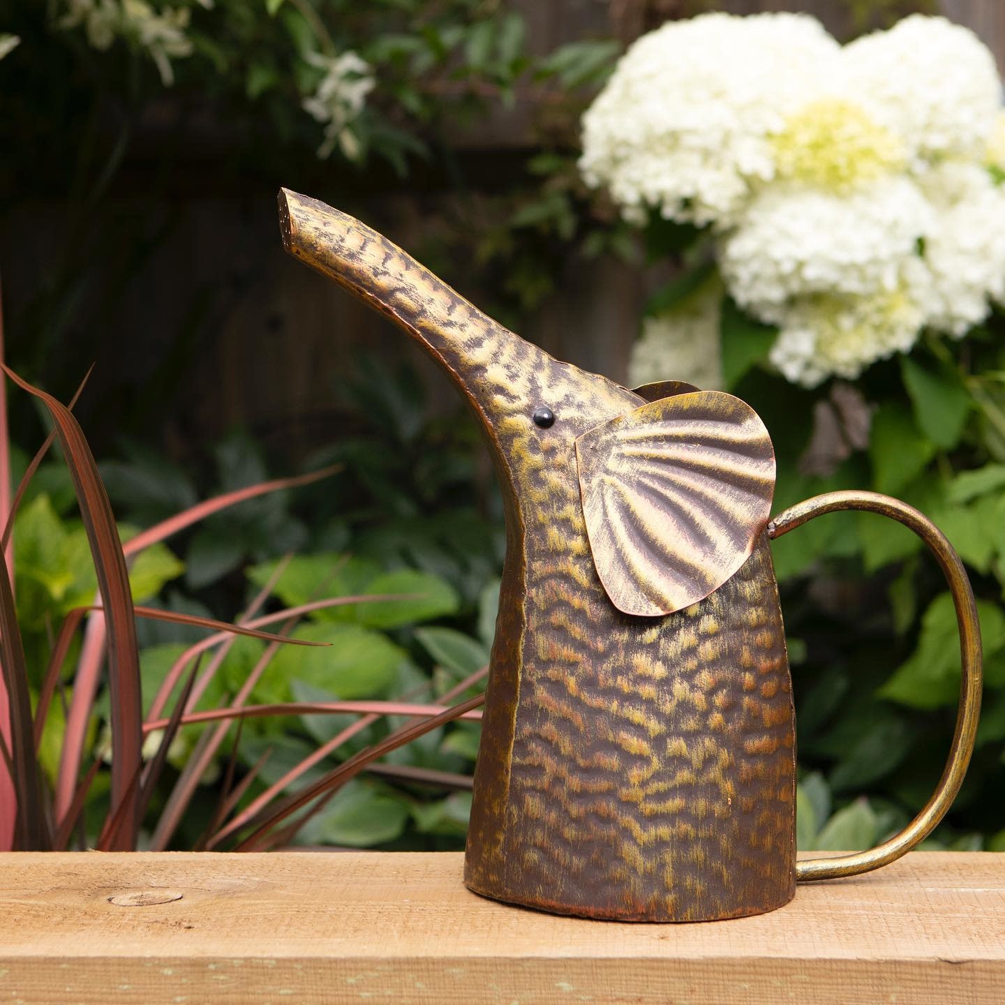 Elephant Watering Can Trading Boundaries