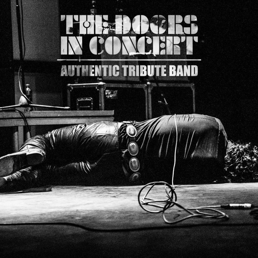 Live Music The Doors In Concert