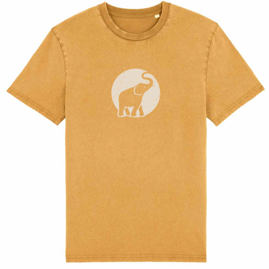 TB T-Shirt Mustard 2024