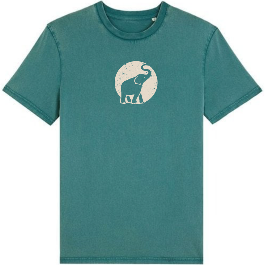 TB T-Shirt Green 2024