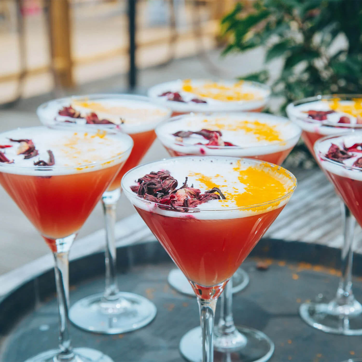 Sussex Trading Boundaries Live Jazz