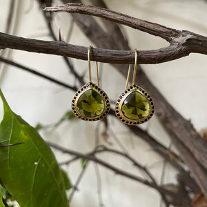 Embellished Agate Teardrop Earrings