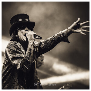 Not The Rolling Stones