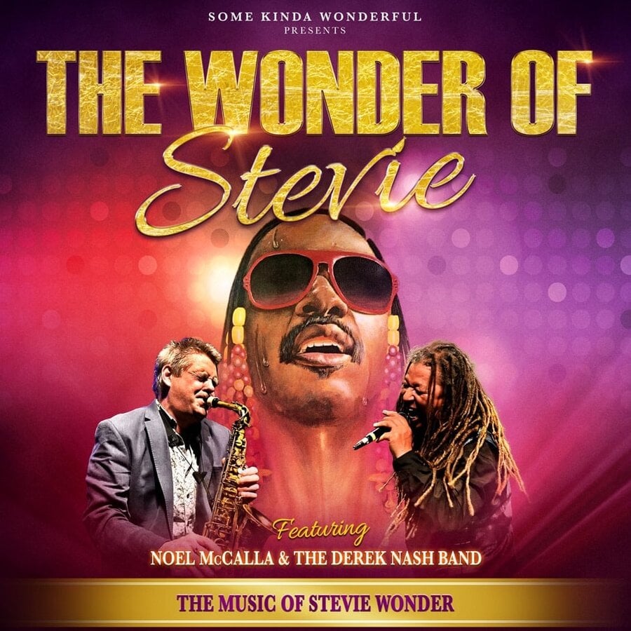 Live Music The Wonder of Stevie