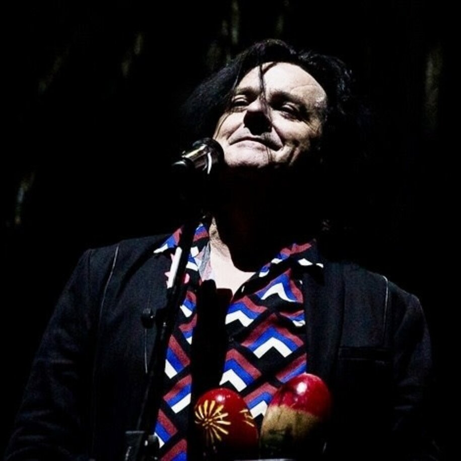 h Natural - Steve Hogarth