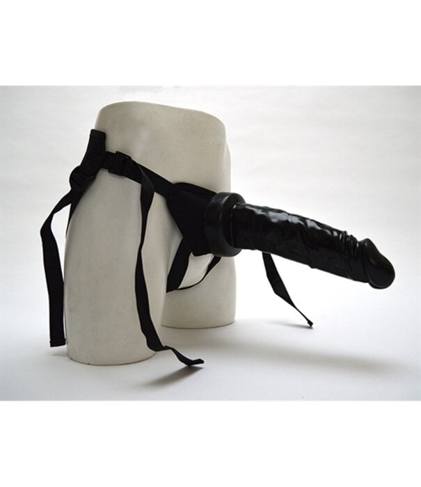 Hung System Hung System - Harness + Plug