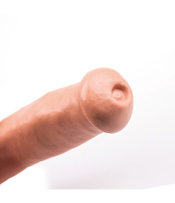 Hung System Hung System - Kenny Flesh