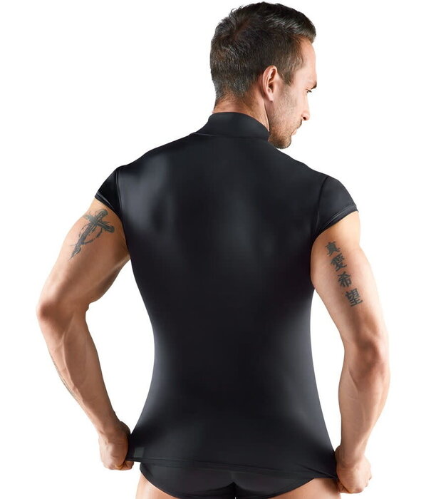 Svenjoyment Men's Shirt Striped