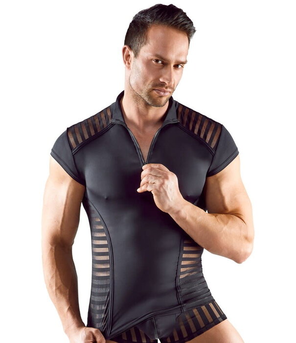 Svenjoyment Men's Shirt Striped