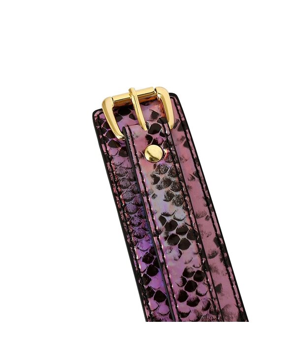 o-products Collar with Leash Reptile & Gold