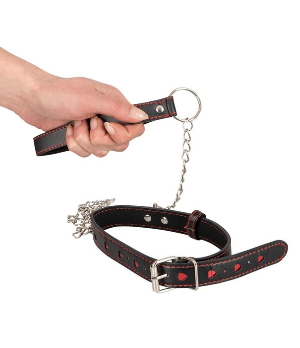 Bad kitty Heart Collar with Leash