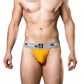 Jockstrap Gold - XL