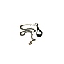 Dog Leash Chain