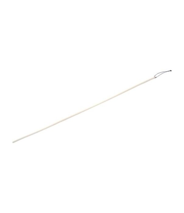 Rotan Cane