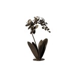 Arti & Mestieri BeoXL - Orchidee decoratieve woonkamer plant
