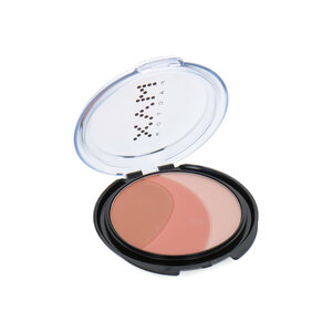 ColorGenius Mineral Blush - 110 Peaches